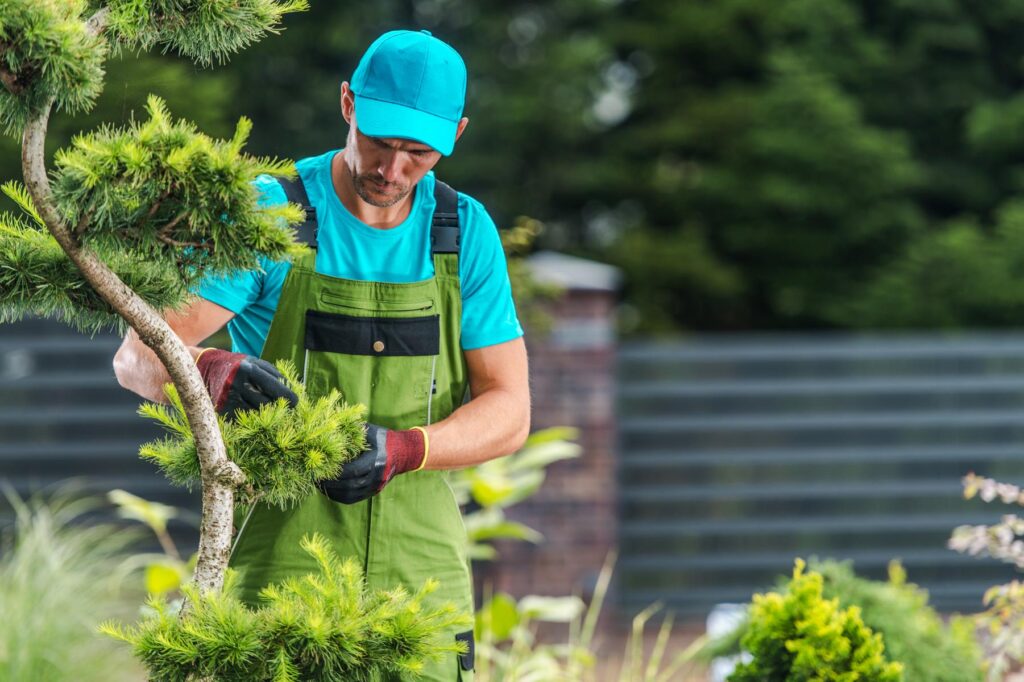 Gartenservice Vukalic Solingen